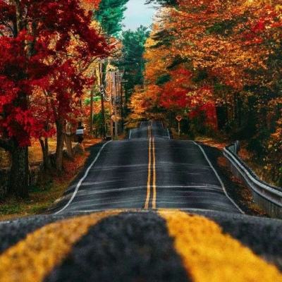 红手指跳一跳辅助下载
